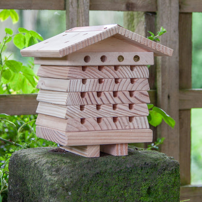 Solitary Bee Hive - Seconds