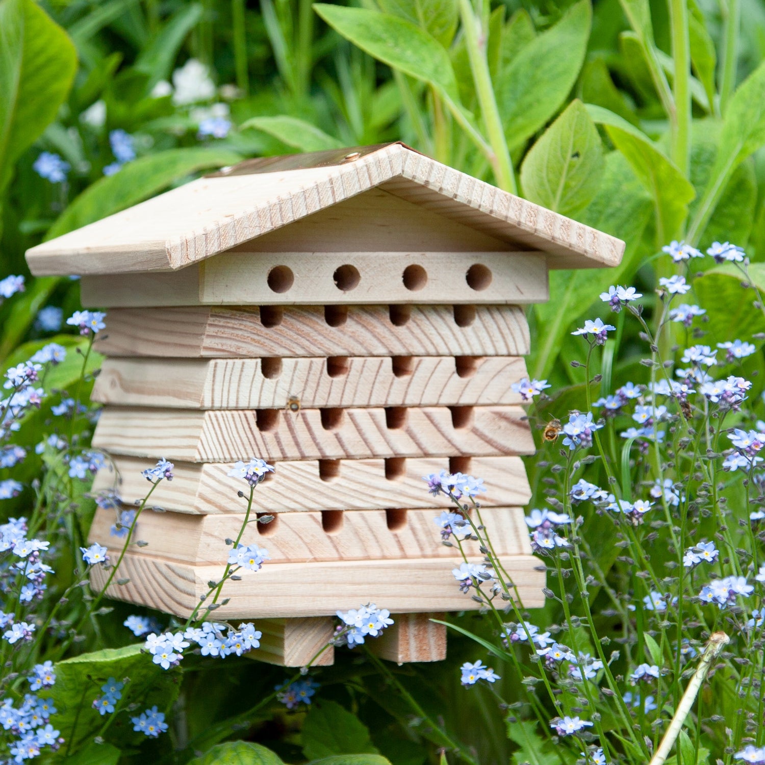 Solitary Bee Hive