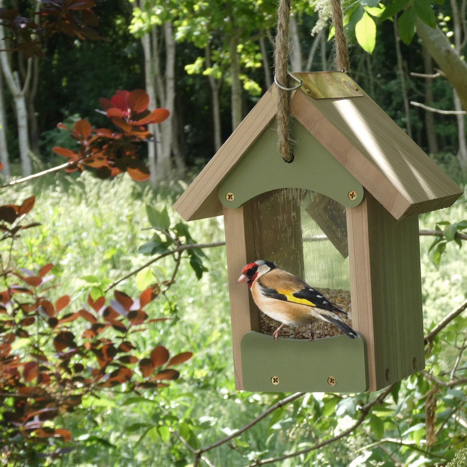 Bird Barn Bird feeder by Wildlife World