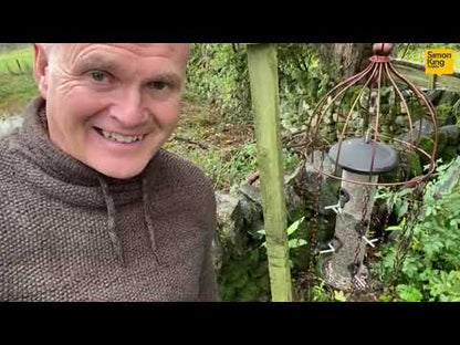Simon King Medusa Feeder Defender - A Bird feeder Protector