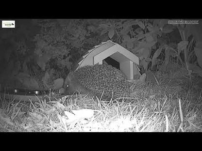 Hedgehog Barn-Seconds